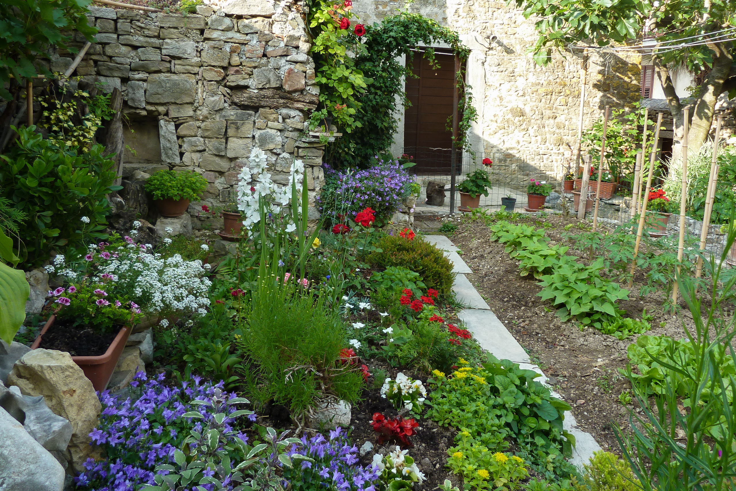 Blumengarten im Innenhof von Motovun – Aufbruch am Morgen